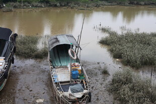 滩涂边的老旧渔船
