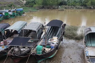 河边停泊的传统船只