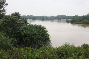河畔绿植环绕的宁静水域