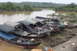 河边停泊的多艘传统船只