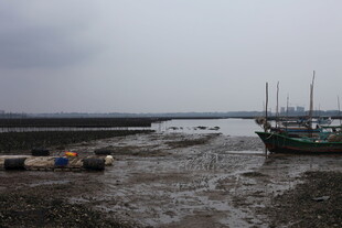 退潮后的渔港景象