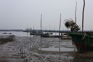 海边停泊的渔船与泥滩