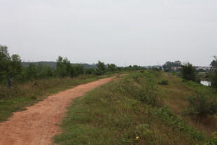 乡间土路绿意盎然的小径