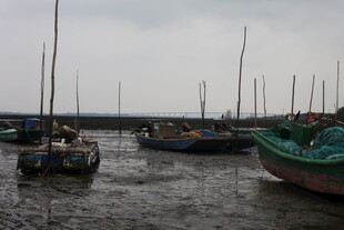 渔港停泊的多彩船只