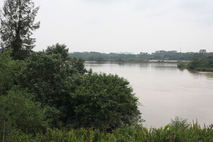 河畔绿植环绕的宁静水域