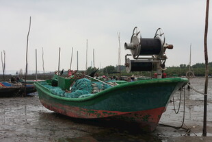 停泊在水边的多彩渔船