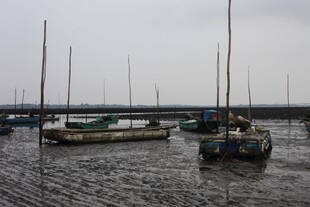 港口停泊的多艘帆船