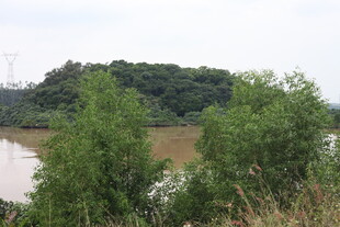 河畔绿树环绕的自然景致