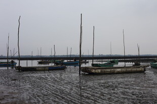 宁静港湾中的停泊帆船