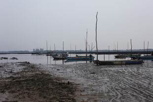 低潮时的码头与停泊船只