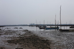 海边停泊的船只与泥滩