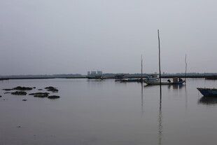 宁静港湾中的停泊船只