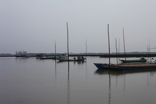 雾中静谧的停泊船只