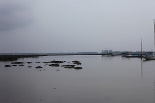 宁静水域中的停泊船只