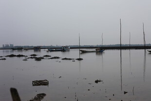 雾中静谧的海港景象