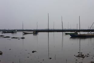 雾中停泊的船只与浅滩