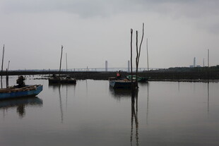 宁静港湾中的停泊船只