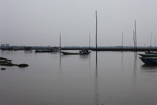 雾中宁静的港湾与帆船