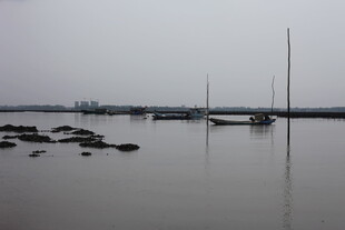 宁静港湾中的停泊船只