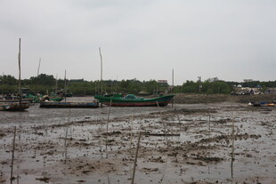 泥泞滩涂边停泊的船只