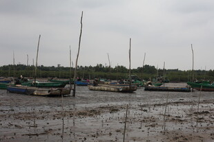 低潮时停泊的船只景观