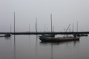 雾中静泊的船只与栈桥