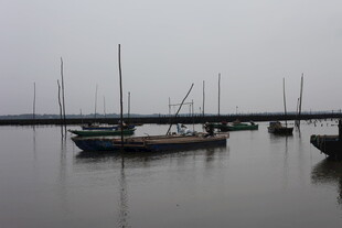 雾中停泊的多艘船只