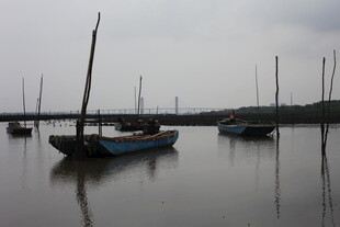 水面停泊的多艘古朴小船