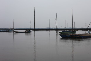 雾中静谧港湾的停泊船只