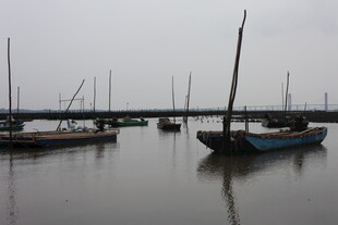 宁静港湾中的停泊船只