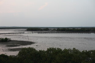 黄昏下的河岸风光