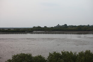 黄昏下的宁静河岸风光