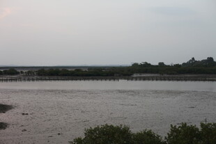 湿地风光静谧自然景致