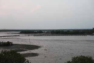 黄昏下的宁静水域景观