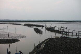 黄昏下的宁静江边景象