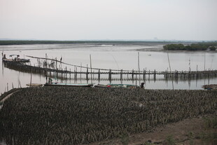 河畔木桥与船只静谧景象