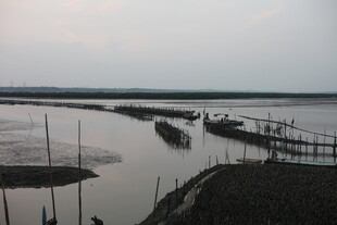 黄昏下的宁静水边停泊场景