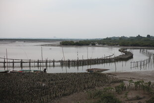 湿地木栈道景观