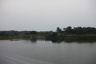 宁静湖面与岸边绿树景致