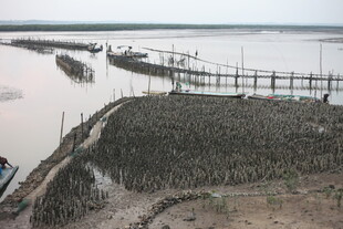 江边田园与水上设施景象