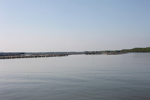 平静湖面远方岸线景色