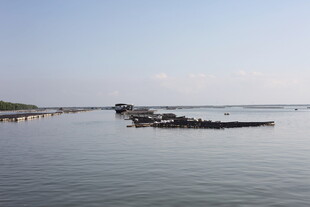 宁静水边码头景象