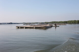 宁静水边的简易木质码头