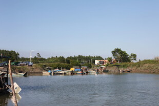 河畔停泊船只景象