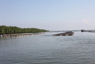 水面与岸边景致
