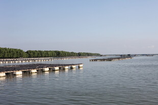 宁静水边栈桥风景