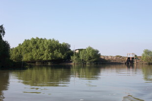 河畔绿树映碧水美景