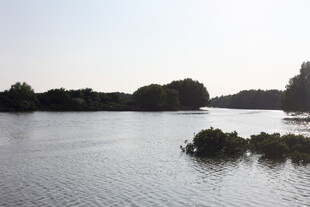 宁静湖面的自然景致