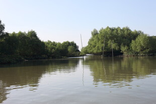 宁静河畔的自然景致