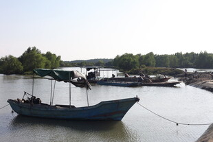 河畔停泊的古朴渔船